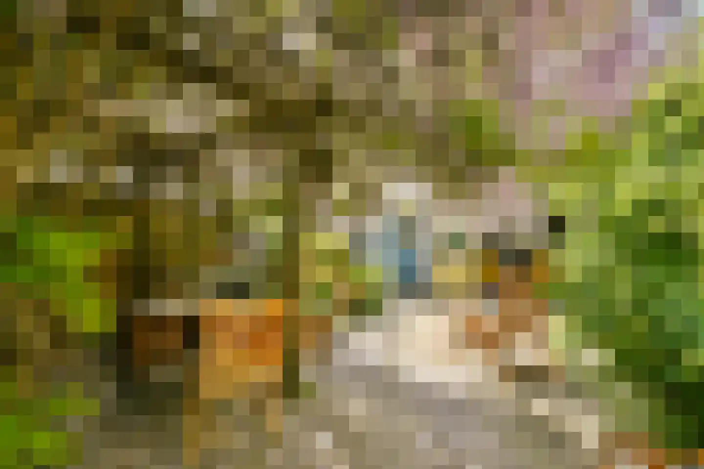 Hogelaan 9 Vlaardingen thumbnail 20
