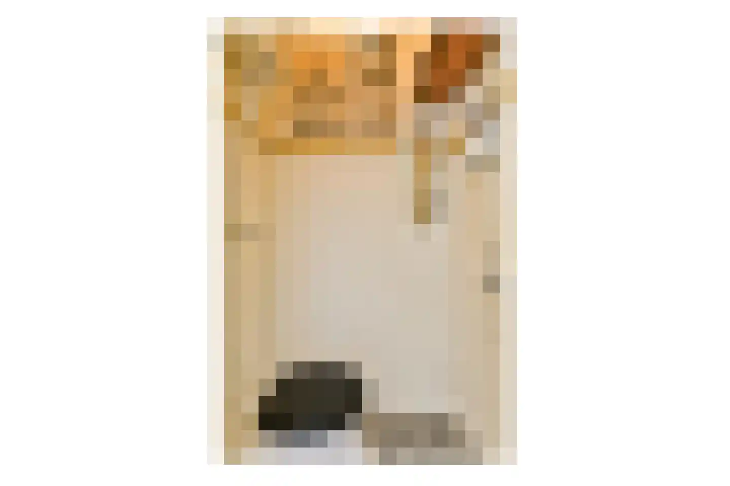 Hogelaan 9 Vlaardingen thumbnail 37