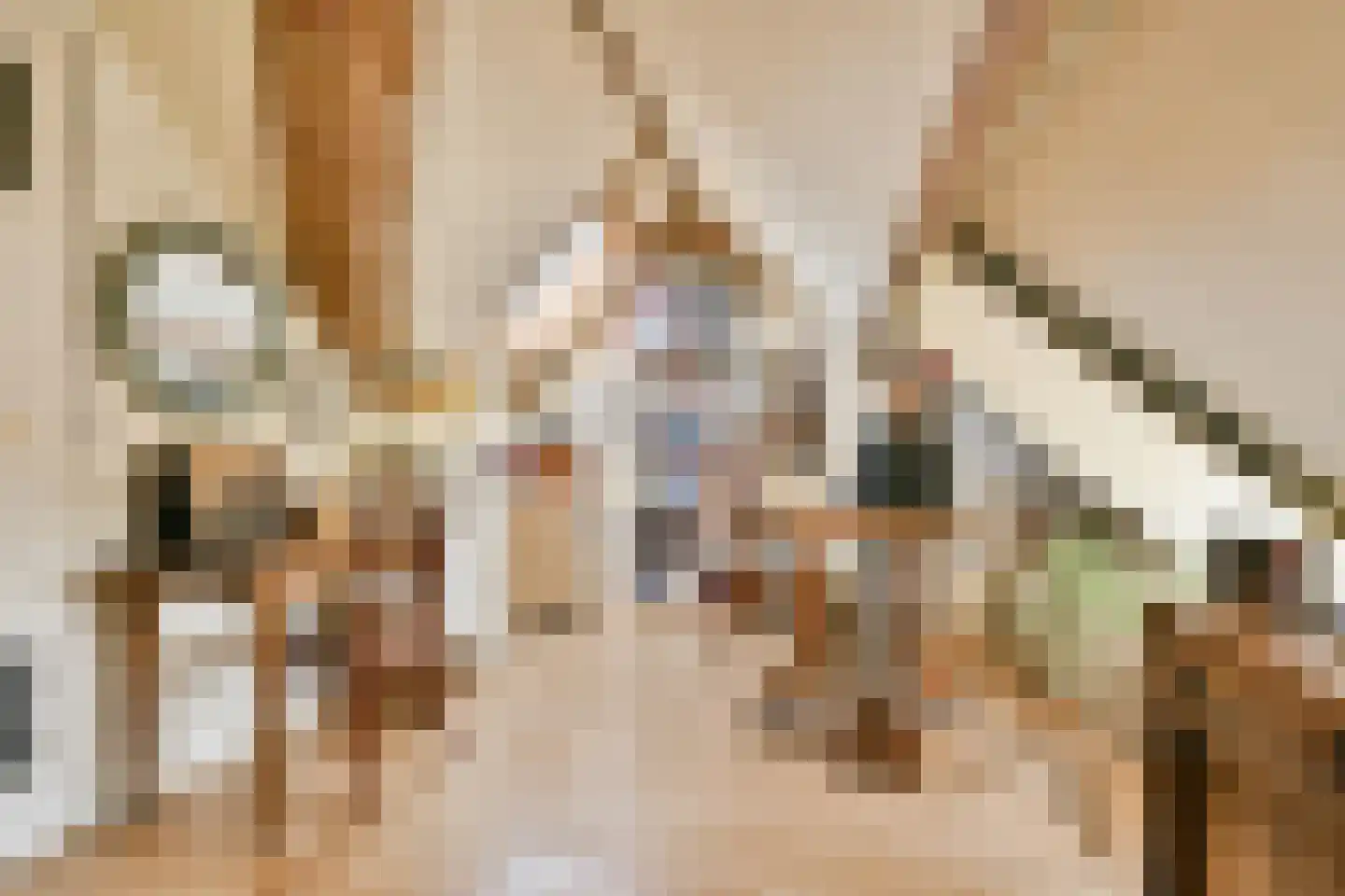 Hogelaan 9 Vlaardingen thumbnail 39
