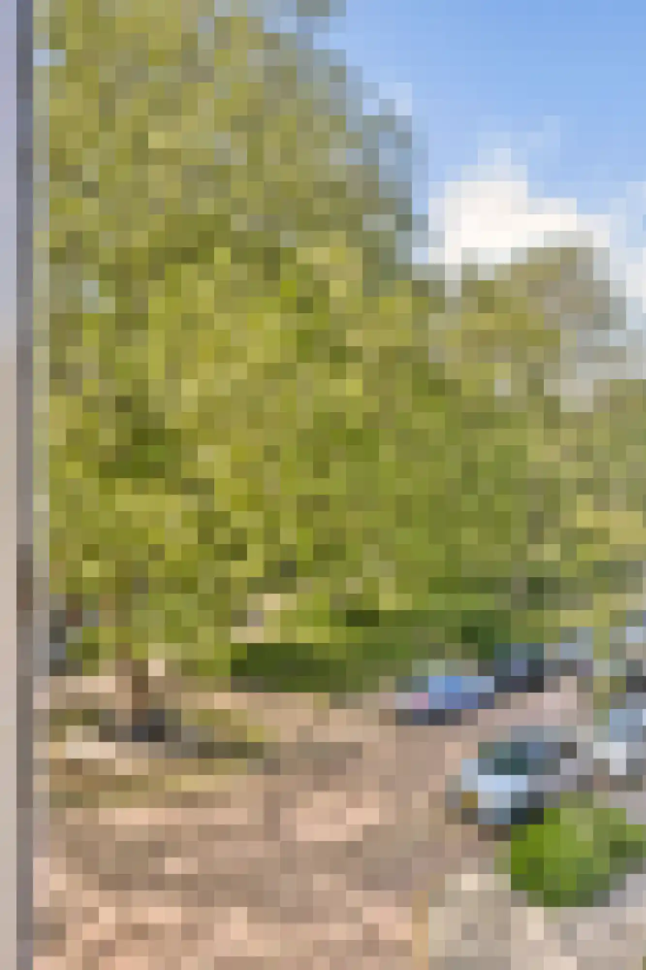 Hogelaan 9 Vlaardingen thumbnail 43