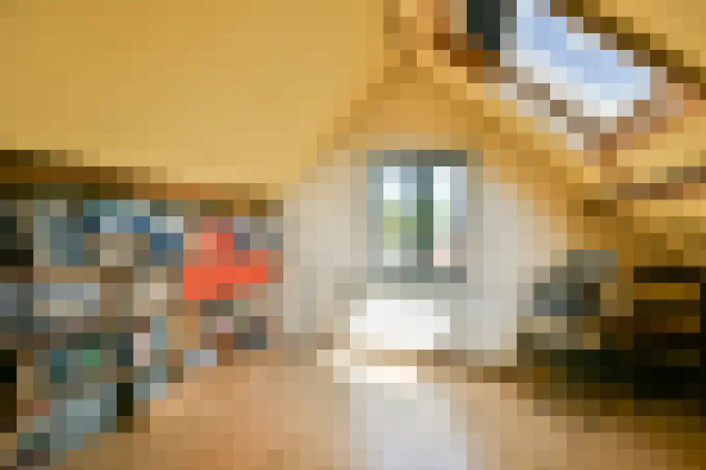 Hogelaan 9 Vlaardingen thumbnail 44