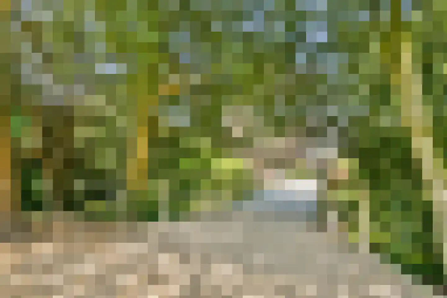 Hogelaan 9 Vlaardingen thumbnail 49