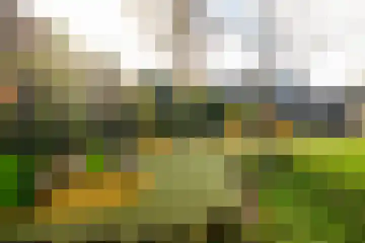 Hogeland 20 Leidschendam thumbnail 22