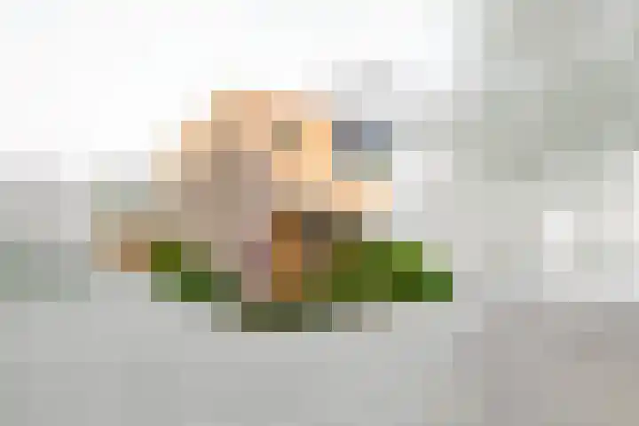 Hogeland 20 Leidschendam thumbnail 5