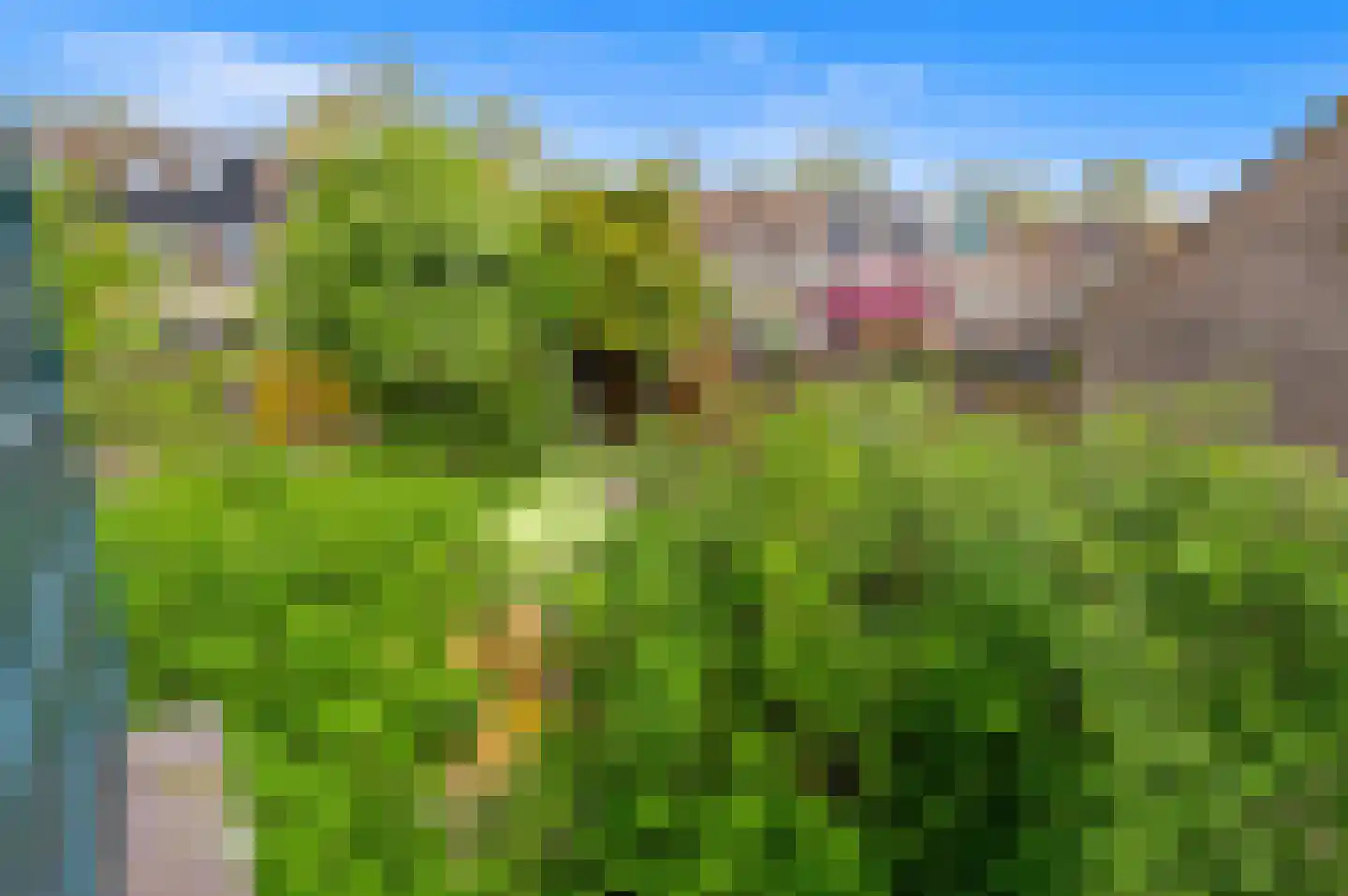 Hogeland 22 Leidschendam thumbnail 33