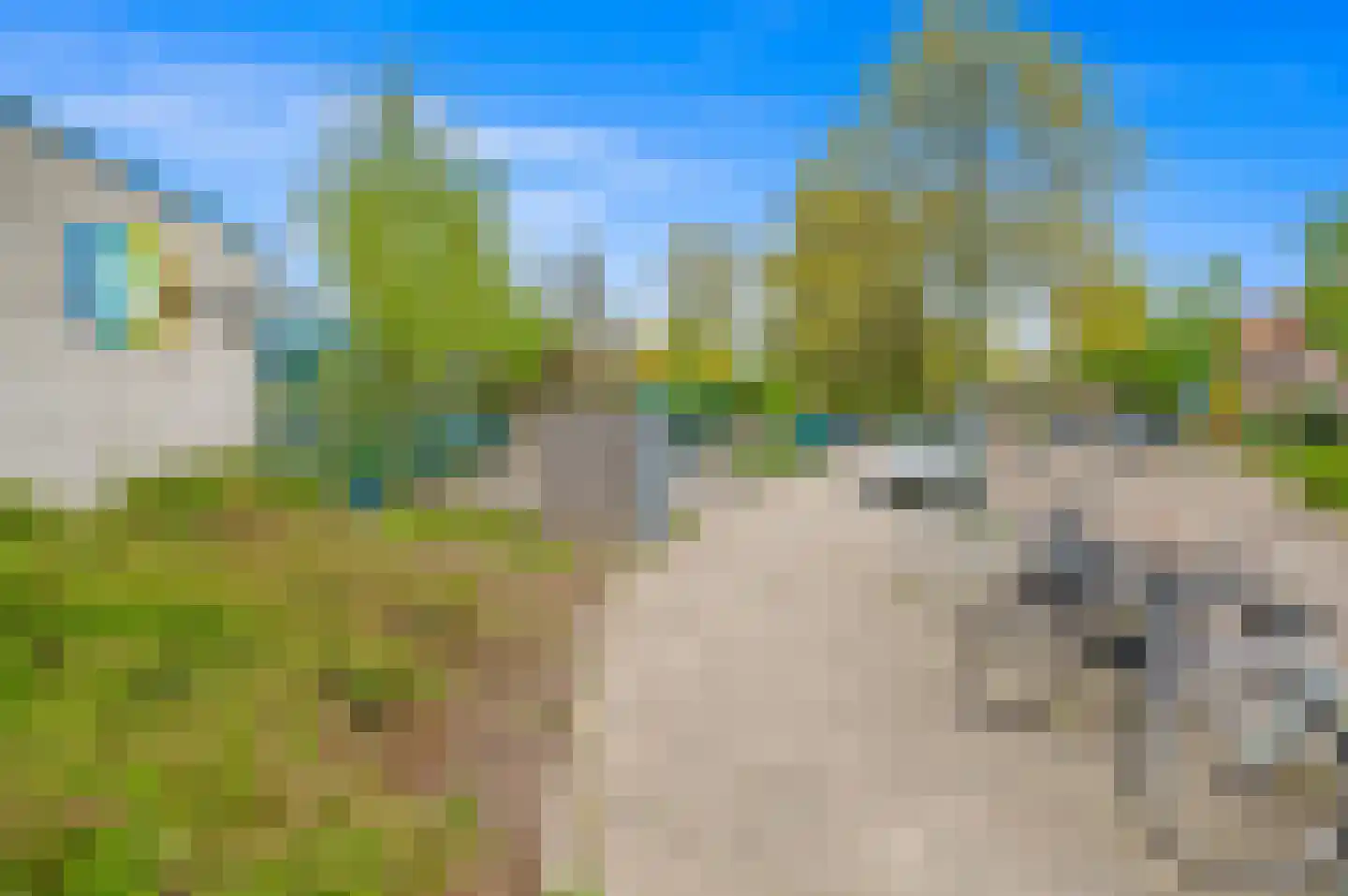 Hogeland 22 Leidschendam thumbnail 38