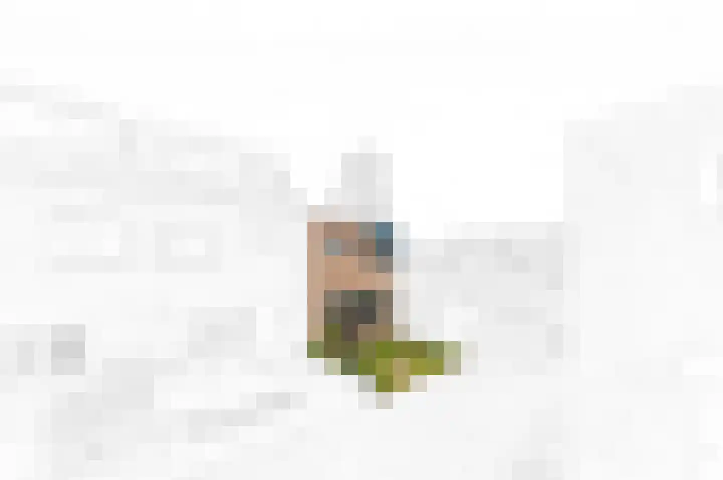 Hogeland 22 Leidschendam thumbnail 8