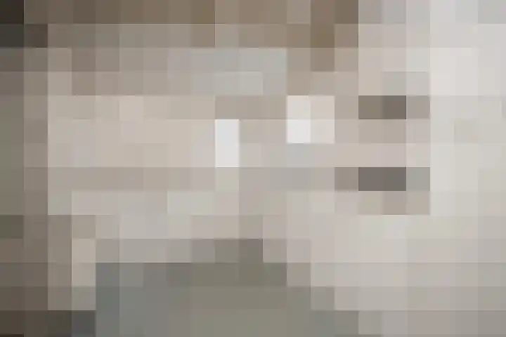 Hogelandje 5 Andijk thumbnail 15
