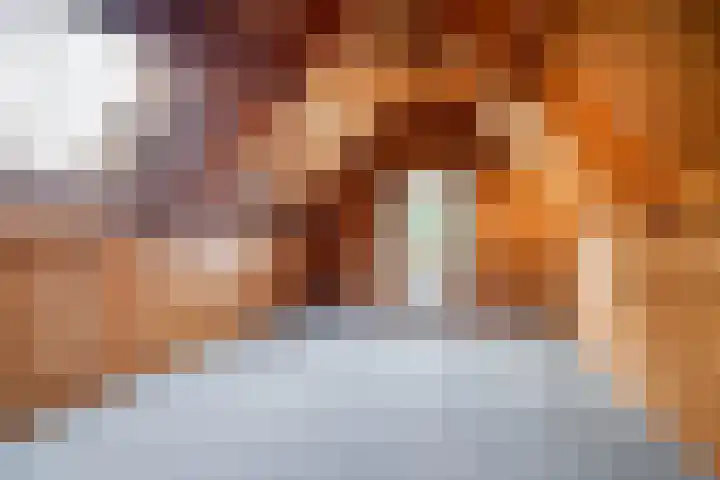 Hogelandje 5 Andijk thumbnail 21