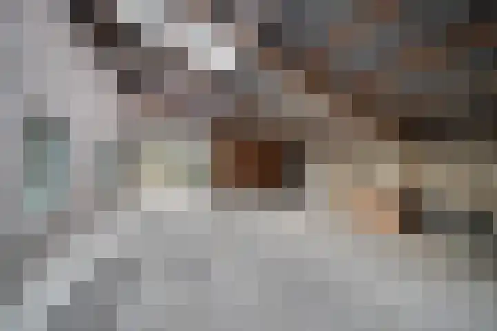 Hogelandje 5 Andijk thumbnail 29
