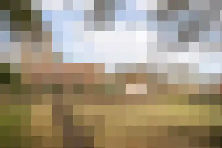 Hogelandje 5 Andijk thumbnail 33