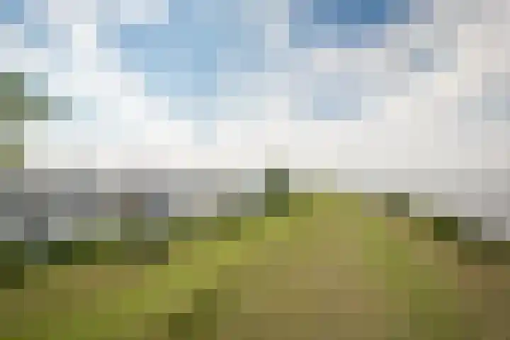 Hogelandje 5 Andijk thumbnail 43