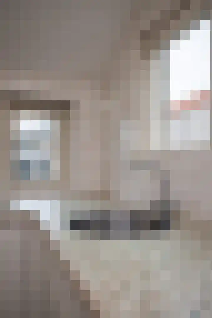 Hogelandje 5 Andijk thumbnail 46