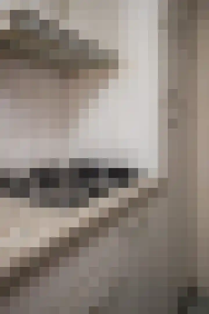 Hogelandje 5 Andijk thumbnail 47