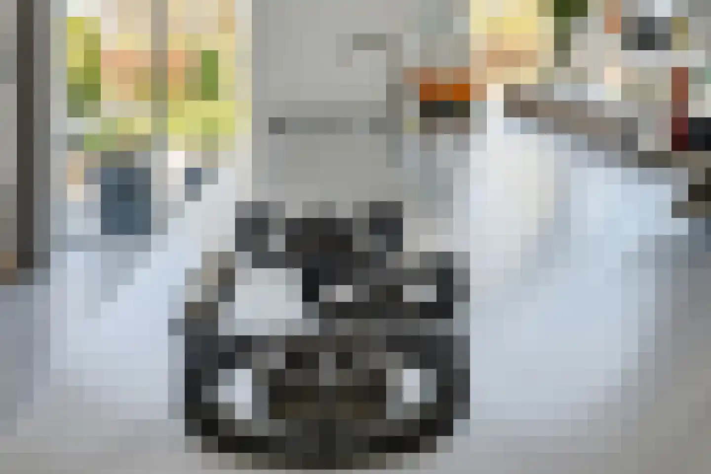 Hogelandseweg 2 Grijpskerke thumbnail 24