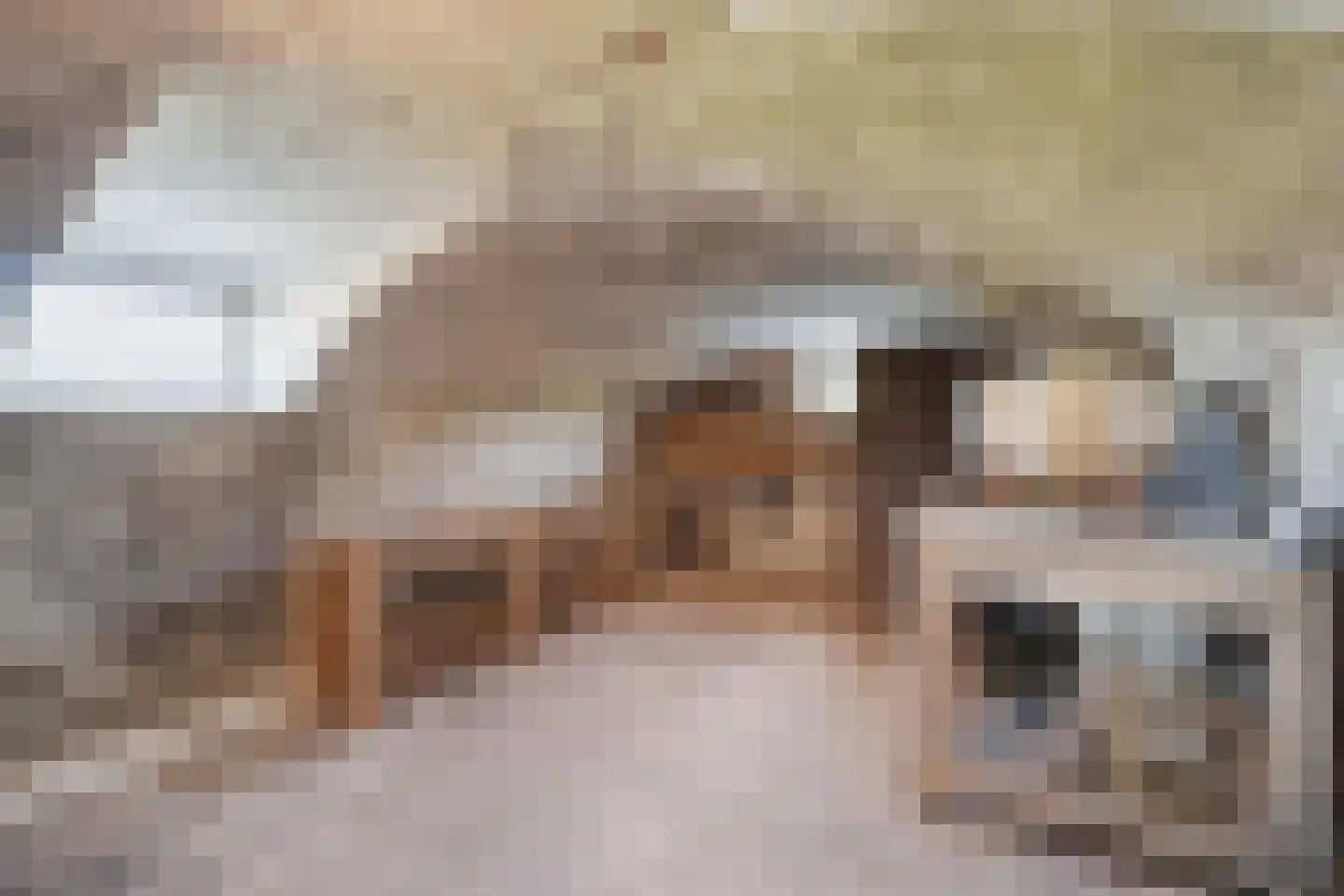 Hogelandseweg 2 Grijpskerke thumbnail 26