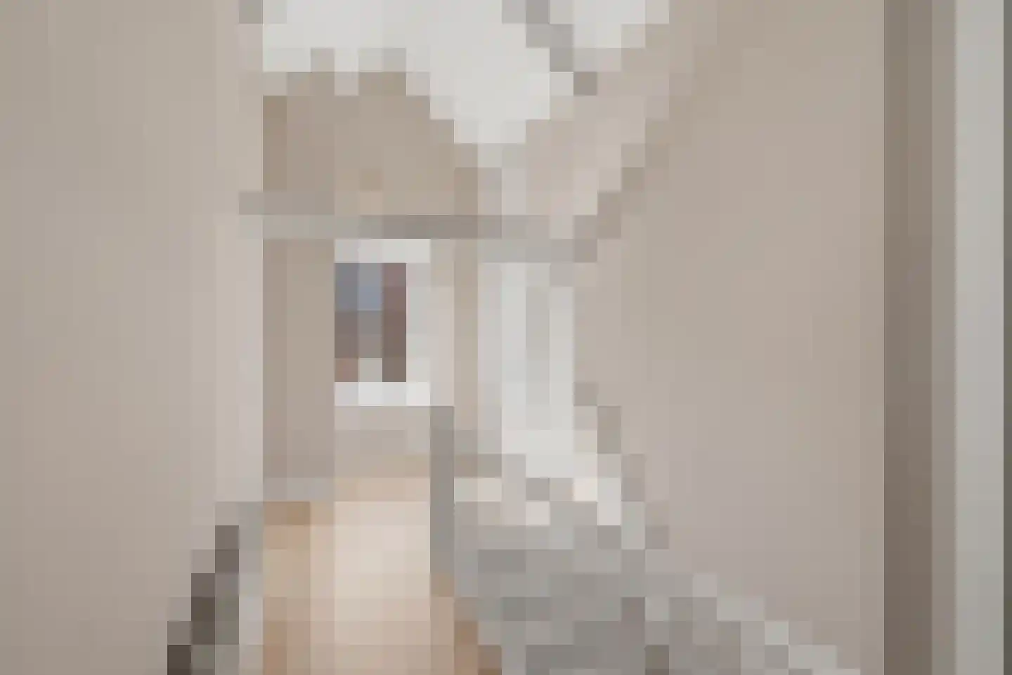Hogelandseweg 2 Grijpskerke thumbnail 30