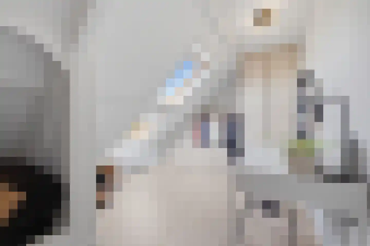Hogelandseweg 2 Grijpskerke thumbnail 31
