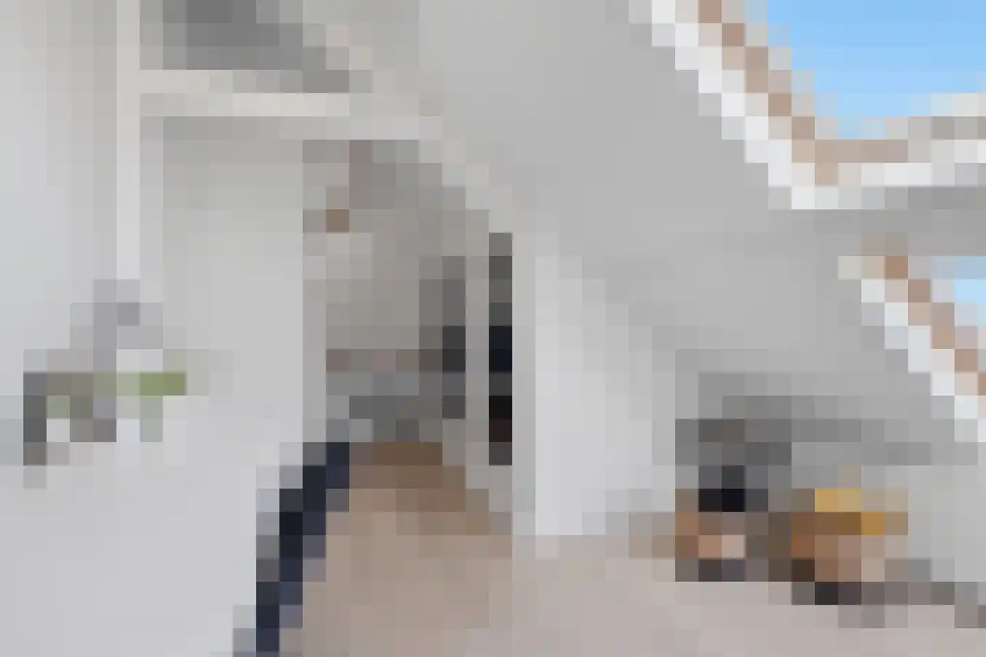 Hogelandseweg 2 Grijpskerke thumbnail 32