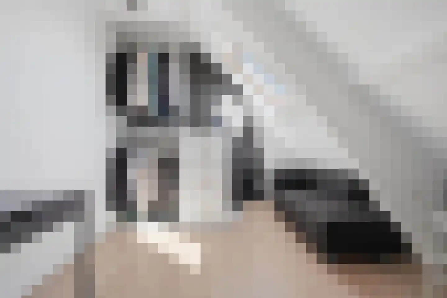 Hogelandseweg 2 Grijpskerke thumbnail 34