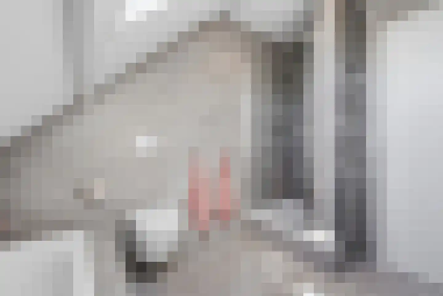 Hogelandseweg 2 Grijpskerke thumbnail 44