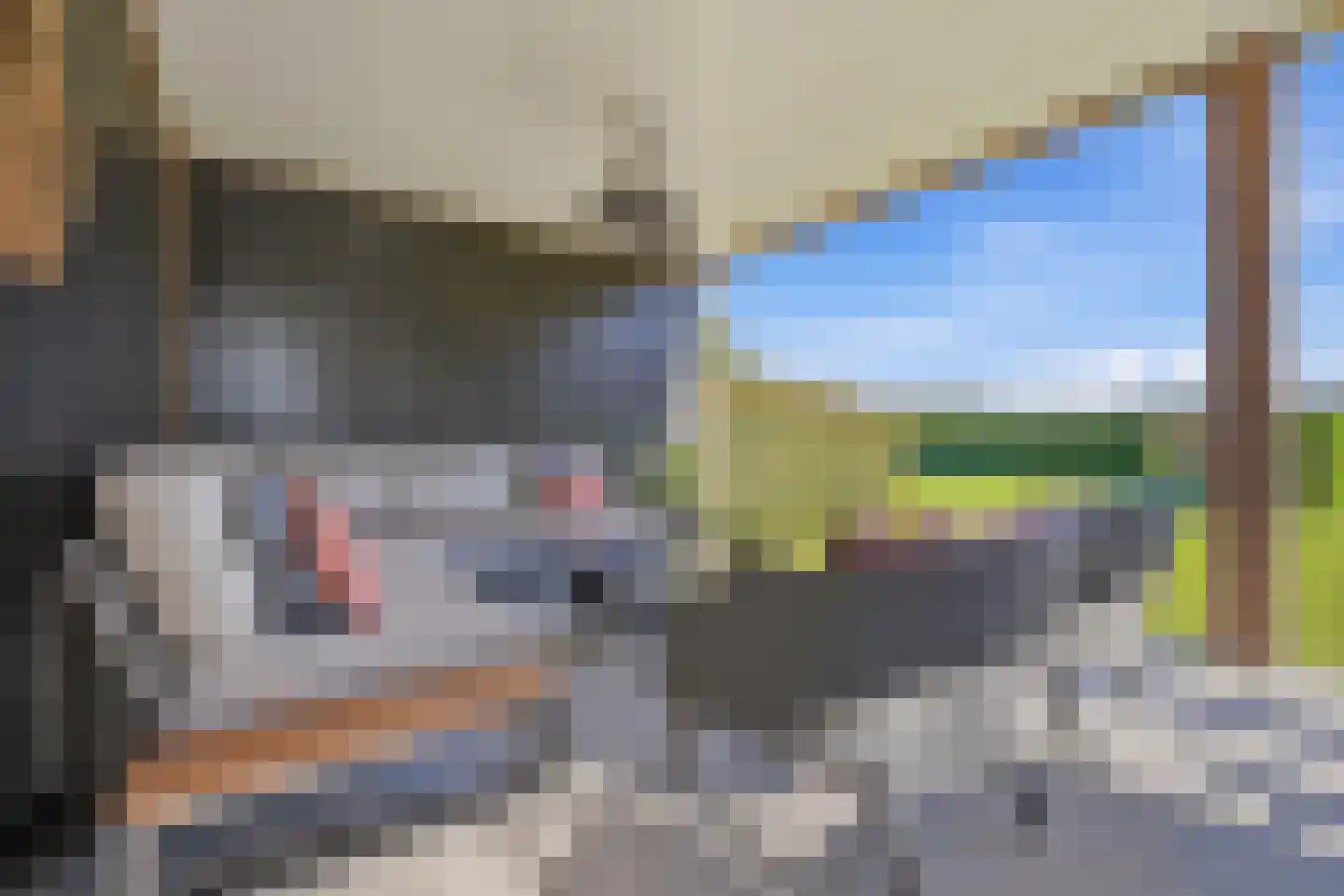 Hogelandseweg 2 Grijpskerke thumbnail 47
