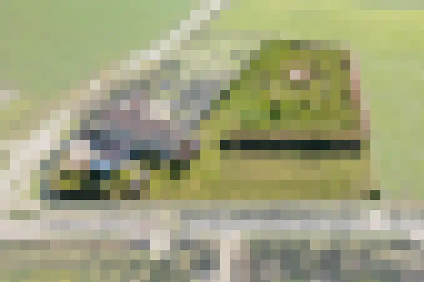 Hogelandseweg 2 Grijpskerke thumbnail 5