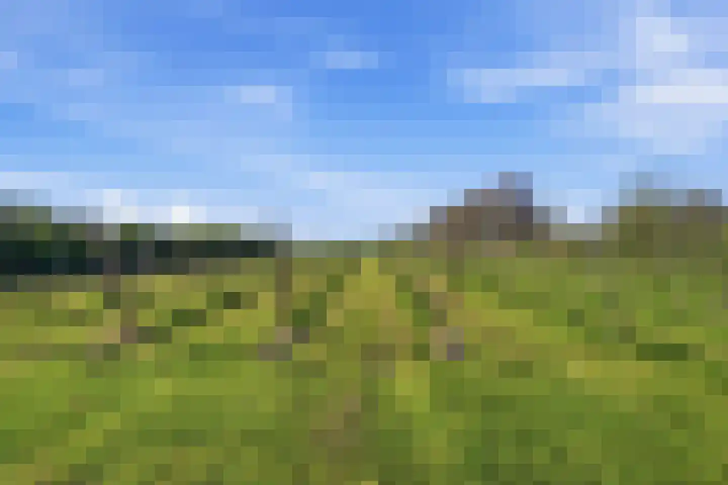 Hogelandseweg 2 Grijpskerke thumbnail 50