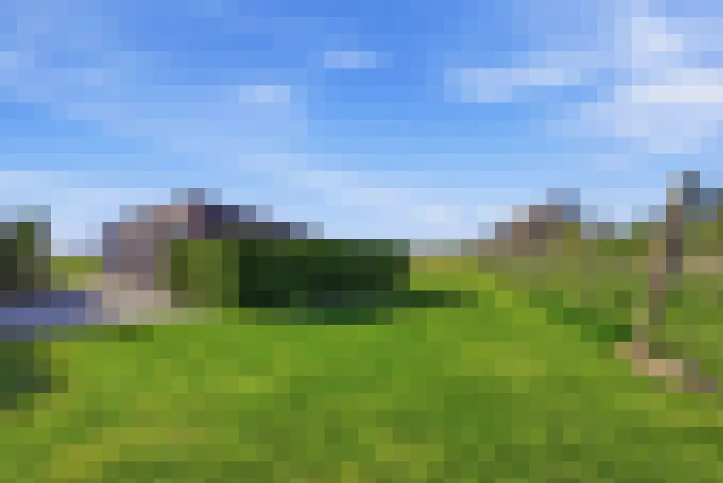 Hogelandseweg 2 Grijpskerke thumbnail 51