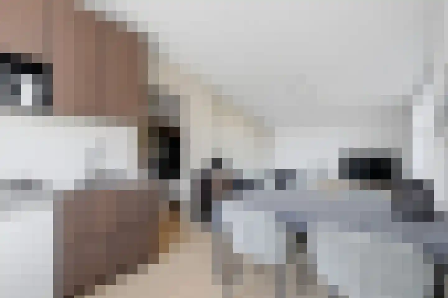 Hogelandseweg 2 Grijpskerke thumbnail 56