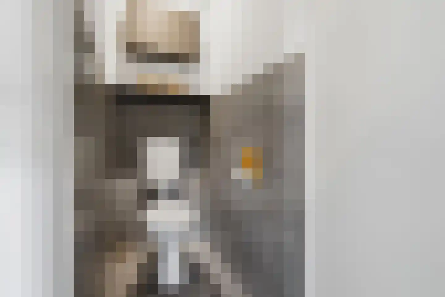 Hogelandseweg 2 Grijpskerke thumbnail 64