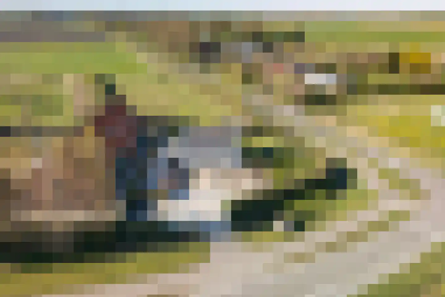 Hogelandseweg 2 Grijpskerke thumbnail 73