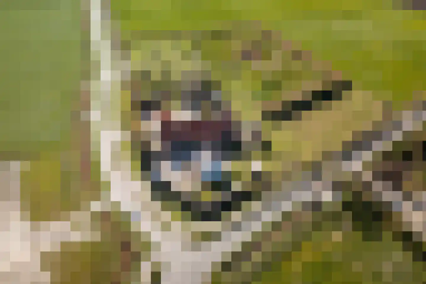 Hogelandseweg 2 Grijpskerke thumbnail 74