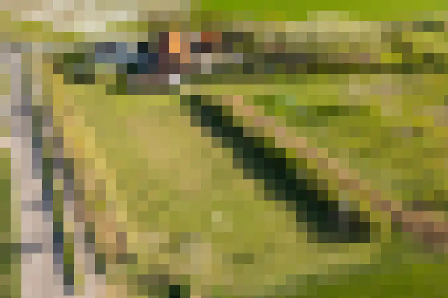 Hogelandseweg 2 Grijpskerke thumbnail 76