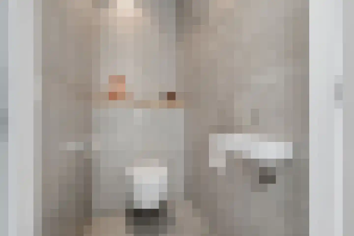 Hogelandseweg 2 Grijpskerke thumbnail 9