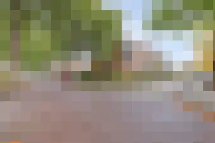 Hogelandseweg 78 Vianen thumbnail 4