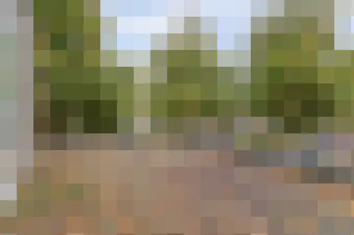Hogelandseweg 78 Vianen thumbnail 42