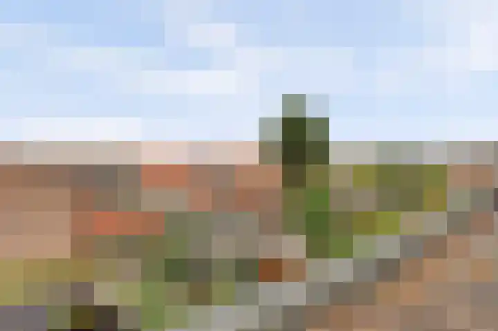 Hogelandseweg 78 Vianen thumbnail 43