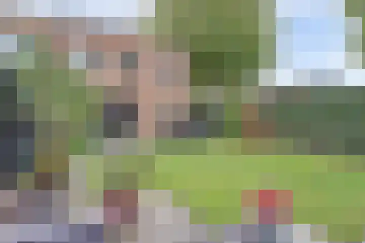 Hogelandseweg 78 Vianen thumbnail 45