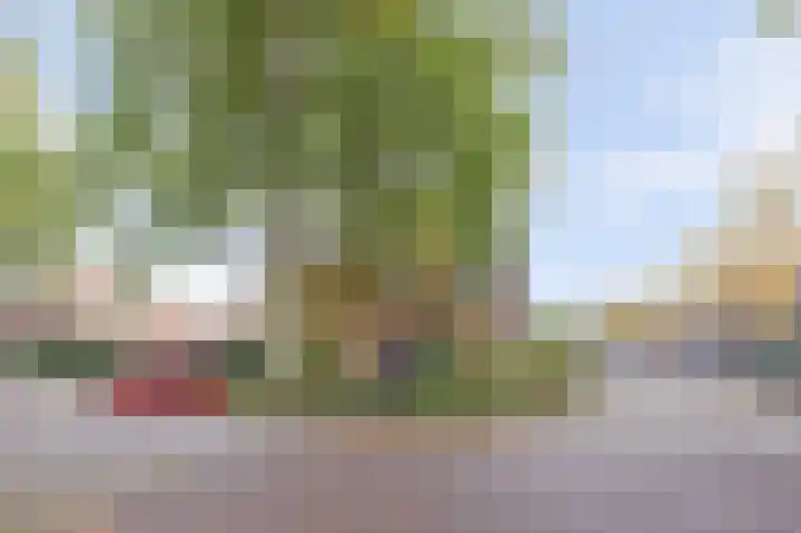 Hogelandseweg 78 Vianen thumbnail 6