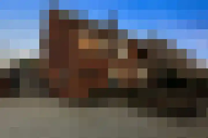 Hogelandsingel 33 Enschede thumbnail 7