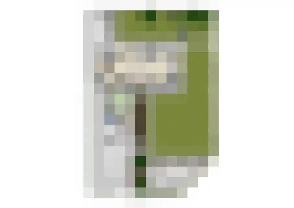Hogelandsingel 37 Enschede thumbnail 63