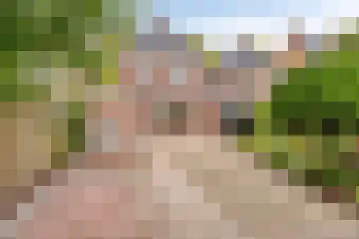 Hogelandsingel 95 Enschede thumbnail 26