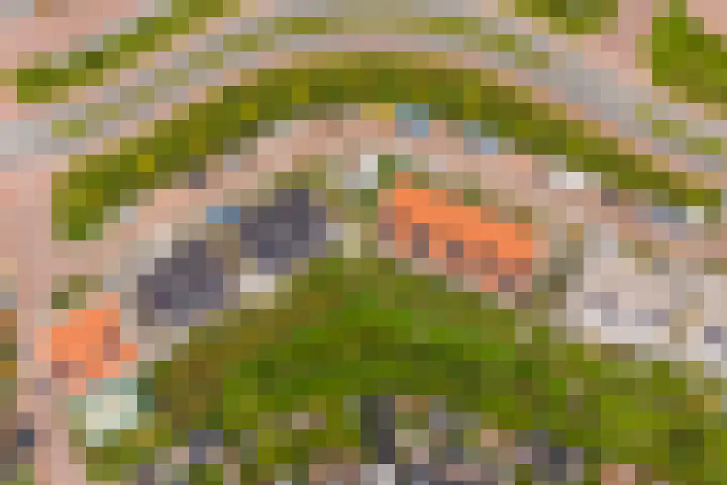 Hogelandster 1 Voorthuizen thumbnail 12