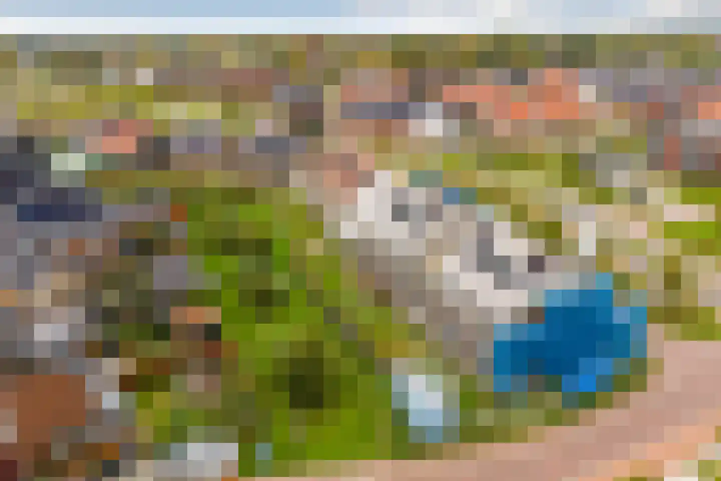 Hogelandster 1 Voorthuizen thumbnail 9
