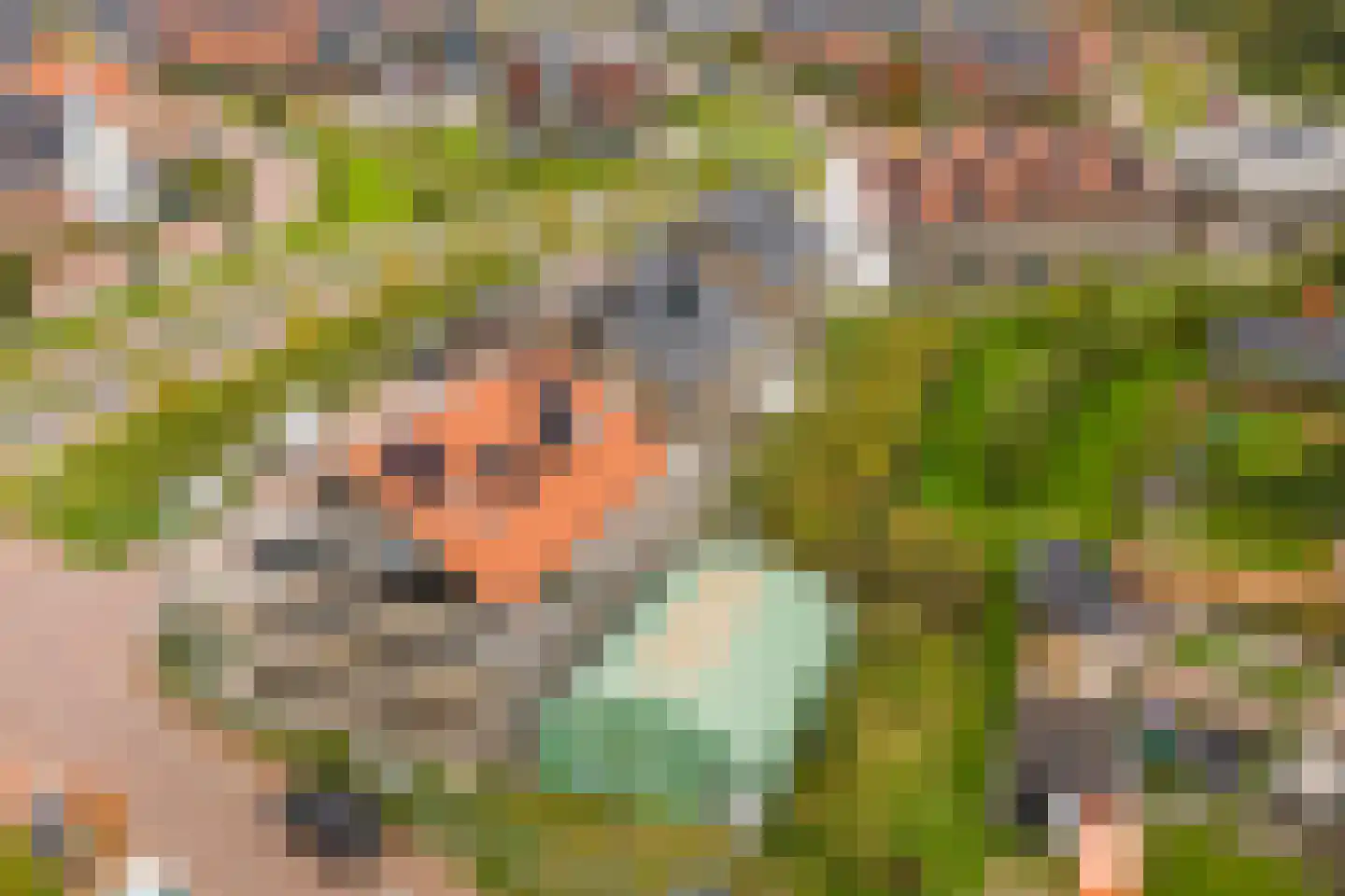 Hogelandster 6 Voorthuizen thumbnail 8