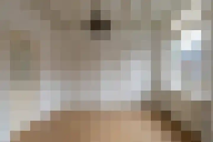 Hogelandstraat 19 Giessen thumbnail 8