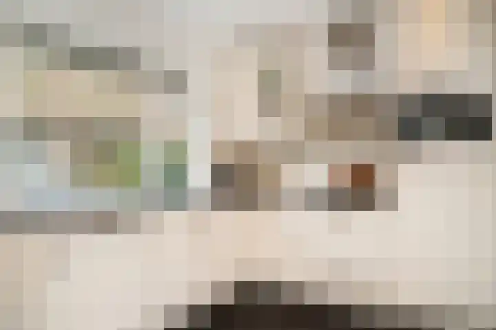 Hogelandstraat 41 Giessen thumbnail 11