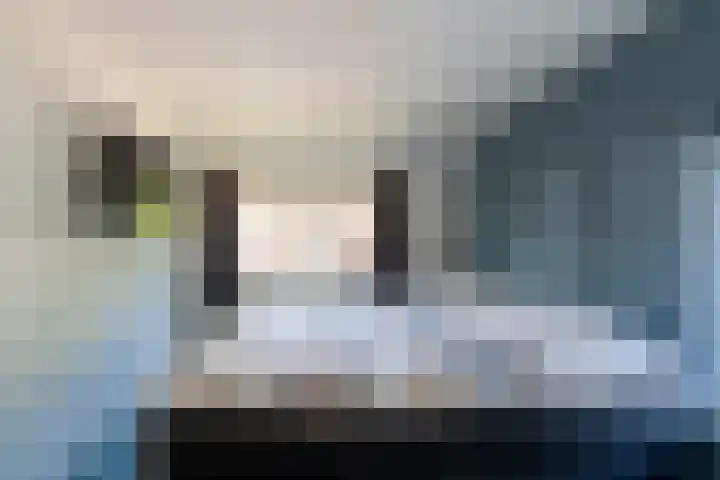 Hogelandstraat 6 Giessen thumbnail 16