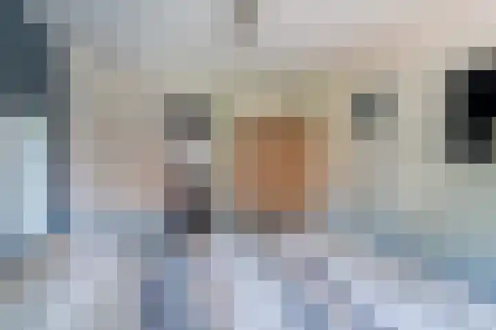 Hogelandstraat 6 Giessen thumbnail 17